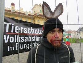 Aktivist:in als verletztes Reh hinter einem Zaun