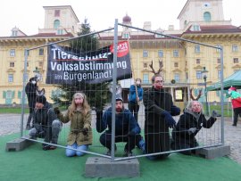 Protest vor dem Schloss Esterhazy