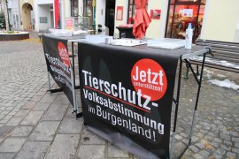Infostand