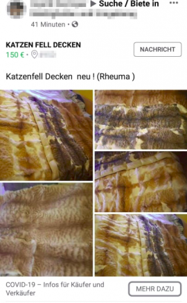 Screenshot Katzenfelldecke