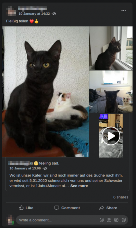 Katze vermisst