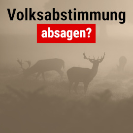 Volksabstimmung abgesagt?