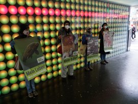 Vier Aktivist:innen halten in einem städtischen Durchgang Tierschutzposter.