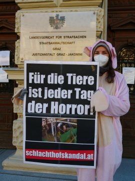 Demo 2