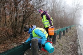 Freiwillige am Zaun