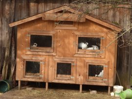 Kaninchen Holzverschlag