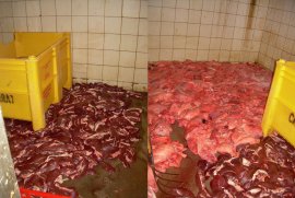 Gammelfleisch