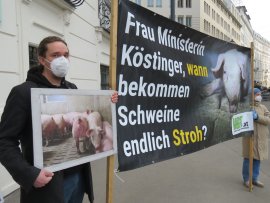 Demo 2