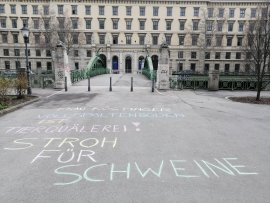 Kreideschriftzug