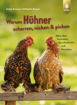 Buchumschlag des Buches