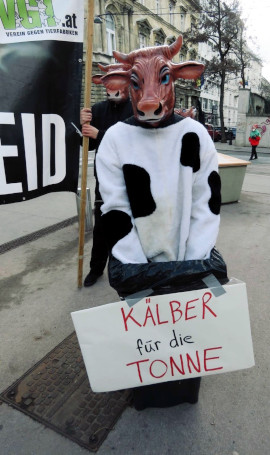 Kundgebung in Wien