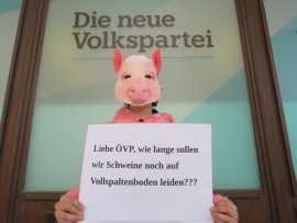 Rudi vor der ÖVP