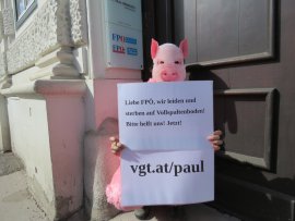 Rudi bei der FPÖ