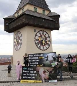 Protestfoto 11