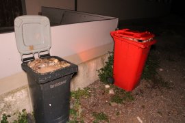 tote Ferkel im Mülleimer