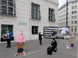 Aktivist mit Schweinekostüm in Mülltonne