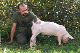 Anna mit Stummelschwanz und David
