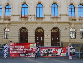 Demo vor Schlachthof