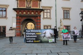 Demo vor dem NR