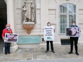 Demonstration Schallenberg