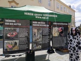 Infostand mit Postern.