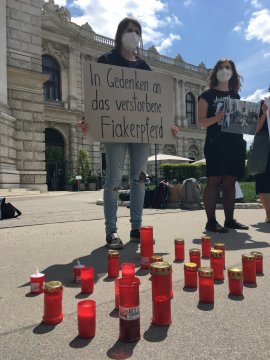 Mahnwache 2