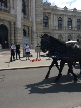 Mahnwache 3
