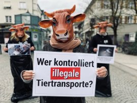 Aktivist:innen halten Schilder mit Sprüchen.