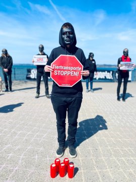 Aktivist:innen auf einer Mahnwache mit der Forderung: Tiertransporte stoppen!