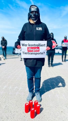 Aktion Bregenz