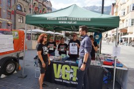 Übergabe Petition 1