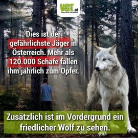 Wolf Sujet