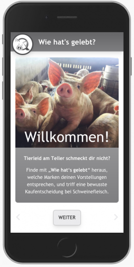 Screenshot App
