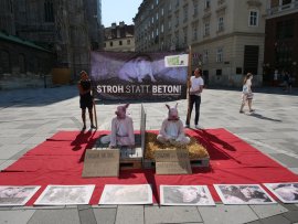 Aktion 1