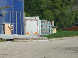 Tiertransport 1