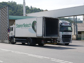 Schweine auf Vollspaltenboden