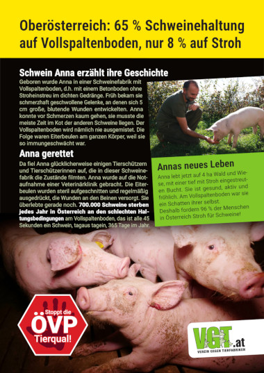 Vollspaltenboden ohne Stroh