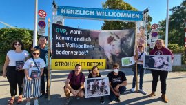 Demo gegen Vollspaltenboden