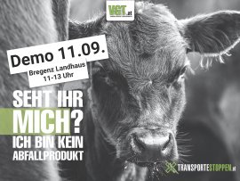 Demo Banner