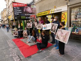 Protestkundgebung vor dem ÖVP-Wahllokal in Linz