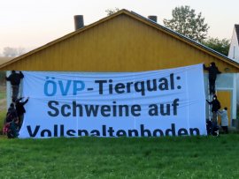 Aktivist:innen hieven ein Banner vor den Stall