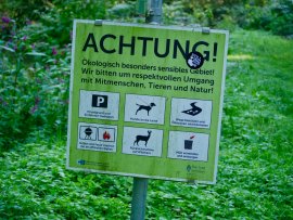Schild