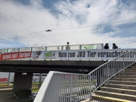 Aktivismus in OÖ