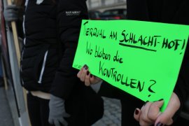 Demoschild