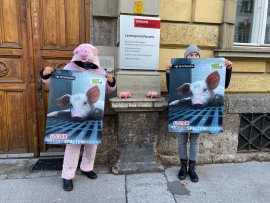 Protest 3