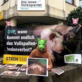 Protest 4
