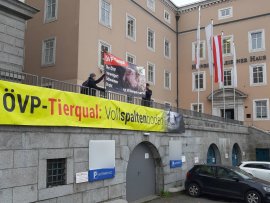 Protest 5