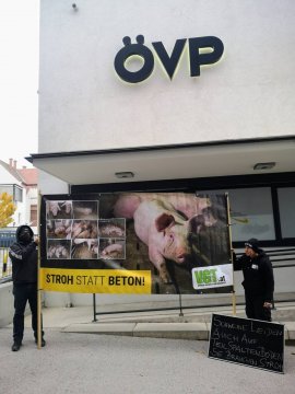 Protest 8