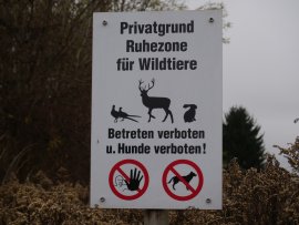 Schild