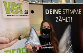infostand2
